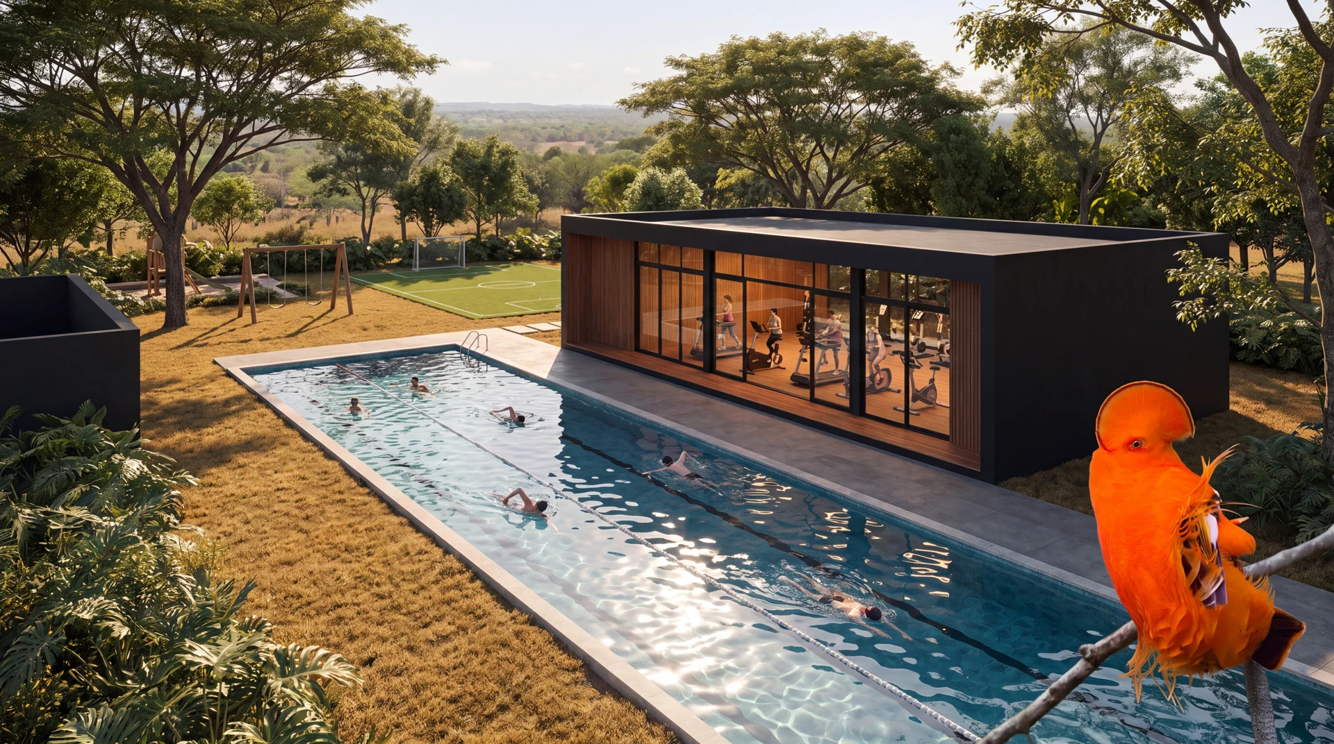 Piscina para nado y gimnasio del proyecto